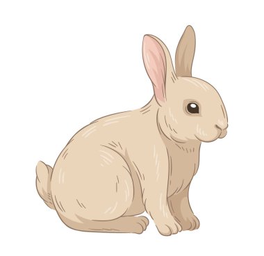 Şirin kürklü tavşan konsepti. Orman sakini çizimi. El çizimi sanat. Sevimli tavşan. Vahşi yaşam ve hayvan. Şablon ve düzen. Çizgi film düz vektör illüstrasyonuName
