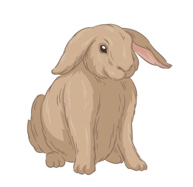 Şirin kürklü tavşan konsepti. Orman sakini çizimi. El çizimi sanat. Sevimli tavşan. Vahşi yaşam ve hayvan. Poster ya da afiş. Çizgi film düz vektör illüstrasyonuName