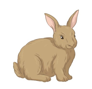 Şirin kürklü tavşan konsepti. Orman sakini çizimi. El çizimi sanat. Sevimli tavşan. Vahşi yaşam ve hayvan. Şablon ve düzen. Çizgi film düz vektör illüstrasyonuName