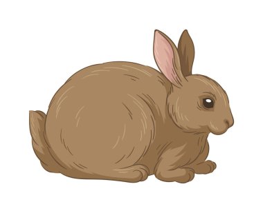 Şirin kürklü tavşan konsepti. Orman sakini çizimi. El çizimi sanat. Sevimli tavşan. Vahşi yaşam ve hayvan. Eğitici materyaller. Çizgi film düz vektör illüstrasyonuName