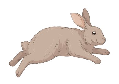 Şirin kürklü tavşan konsepti. Orman sakini çizimi. El çizimi sanat. Sevimli tavşan koş. Vahşi yaşam ve hayvan. Sosyal medya etiketi. Çizgi film düz vektör illüstrasyonuName