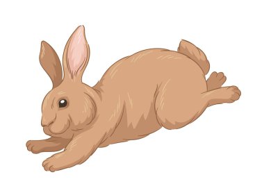 Şirin kürklü tavşan konsepti. Orman sakini çizimi. El çizimi sanat. Sevimli kahverengi tavşan koş. Vahşi yaşam ve hayvanlar, biyoloji. Çizgi film düz vektör illüstrasyonuName