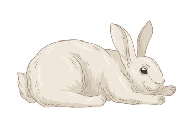 Şirin kürklü tavşan konsepti. Orman sakini çizimi. El çizimi sanat. Sevimli beyaz tavşan. Vahşi yaşam ve hayvan. Minimalist yaratıcılık. Çizgi film düz vektör illüstrasyonuName