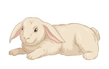 Şirin kürklü tavşan konsepti. Orman sakini çizimi. El çizimi sanat. Sevimli beyaz tavşan. Vahşi yaşam ve hayvan. Pankart ya da kapak. Çizgi film düz vektör illüstrasyonuName