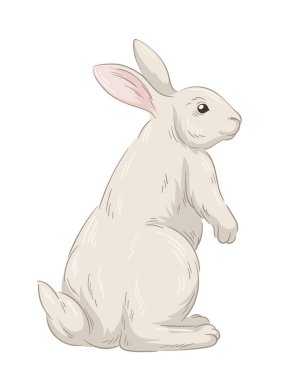 Şirin kürklü tavşan konsepti. Orman sakini çizimi. El çizimi sanat. Arkadan bakan sevimli tavşan. Vahşi yaşam ve hayvan. Çizgi film düz vektör illüstrasyonuName