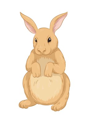 Şirin kürklü tavşan konsepti. Orman sakini çizimi. El çizimi sanat. Sevimli tavşan. Vahşi yaşam ve hayvan. Web sitesi için grafik ögesi. Çizgi film düz vektör illüstrasyonuName