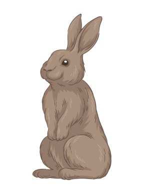 Şirin kürklü tavşan konsepti. Orman sakini çizimi. El çizimi sanat. Sevimli tavşan. Minimalist yaratıcılık. Sosyal ağlar için etiket. Çizgi film düz vektör illüstrasyonuName