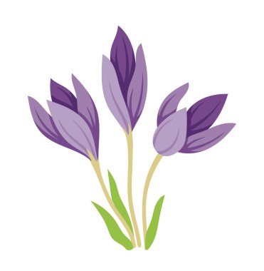 Bahar çiçeği konsepti. Çiçek ve çiçek açan mor bitkiler. Vahşi hayat, bitki örtüsü, botanik. Sosyal ağlar ve kuryeler için etiket. Çizgi film düz vektör çizimi beyaz arkaplanda izole edildi