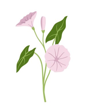 Bahar çiçeği konsepti. Çiçek açan pembe bitkiler. Vahşi hayat, bitki örtüsü, botanik. Estetik ve zarafet. Romantik hediye. Çizgi film düz vektör çizimi beyaz arkaplanda izole edildi