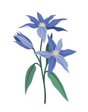 Bahar çiçeği konsepti. Çiçek açan mavi bitkiler. Vahşi hayat, bitki örtüsü, botanik. Estetik ve zarafet. Sosyal medya etiketi. Çizgi film düz vektör çizimi beyaz arkaplanda izole edildi