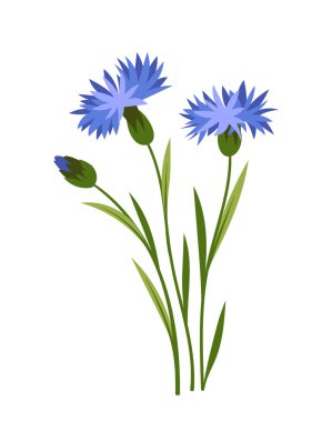 Bahar çiçeği konsepti. Çiçek açan mavi bitkiler. Vahşi hayat, bitki örtüsü, botanik. Web sitesi için grafik ögesi. Romantik hediye. Çizgi film düz vektör çizimi beyaz arkaplanda izole edildi