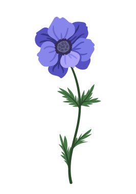 Bahar çiçeği konsepti. Çiçek açan mavi bitki. Vahşi hayat, bitki örtüsü, botanik. Sosyal ağlar için etiket. Doğada güzellik. Çizgi film düz vektör çizimi beyaz arkaplanda izole edildi