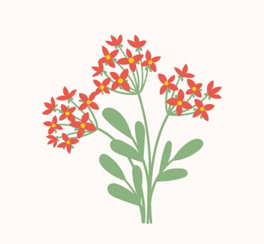 Bahar çiçeği konseptli buket. Yapraklı kırmızı çiçekler. Vahşi hayat ve bitki örtüsü. Botanik ve çiçekçilik. Estetik ve zarafet. Çizgi film düz vektör çizimi beyaz arkaplanda izole edildi