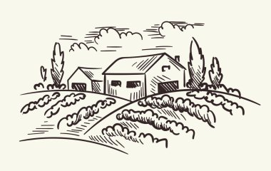 Şaraphane konsepti. Tarım alanının yakınındaki ahır çizimi. Şarap üretimi. Minimalist yaratıcılık ve sanat. Poster ya da afiş. Sarı arkaplanda izole edilmiş doğrusal düz vektör çizimi