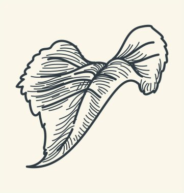 Asma yaprağı içeren zarif bir kalem çizimi. Bu illüstrasyon doğanın narin güzelliğini yakalar ve organik zarafet ve sadeliğin dokunuşunu arayan tasarımlara ideal bir katkı sağlar..