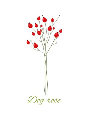 Yazılı kır çiçekleri. Üzerinde köpek resmi olan bir çiçek. Bahar ve yaz mevsimi. Kırmızı tomurcuklu çiçek ve çiçek. Çizgi film düz vektör çizimi beyaz arkaplanda izole edildi