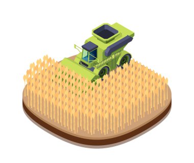 Buğday tarlasında, vektör tarzında, tarımı bembeyaz gösteren bir hasatçının izometrik çizimi. vektör illüstrasyonu