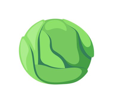 Beyaz arka planda şekillendirilmiş yeşil lahana, sağlıklı beslenme kavramını tasvir ediyor. Vektör illüstrasyonu beyaz arkaplanda izole edildi