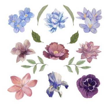 Suluboya çiçek ve yapraklar. Zarif çiçek açan bitkiler, narin yapraklar ve yeşil dallar. Düğün davetiyeleri için doğal unsurlar ve buketler. El çizimi vektör izole çizimleri