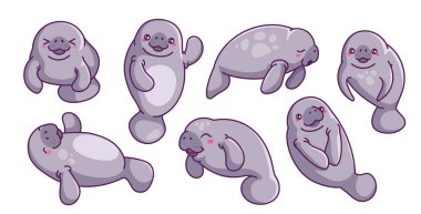 Bir dizi şirin denizayısı çıkartması. Gülen kürk fokları olan sevimli rozetler. Okyanus hayvanlı ikonlar. Okyanus sakinleri su canavarları. Çizgi film vektör illüstrasyon koleksiyonu beyaz arkaplanda izole edildi