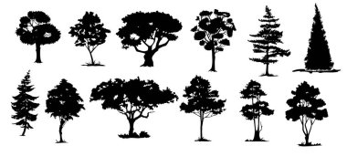 Ağaç siluetleri. Orman ve park bitkileri, çam, ladin, meşe ve kavak içeren ikonlar. Doğa ve çevre. Organik tasarım elementleri. Düz vektör çizimi beyaz arkaplanda izole edildi