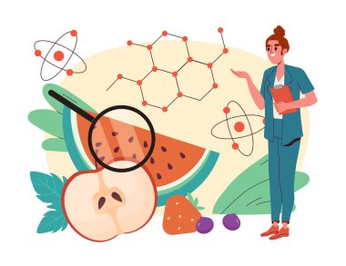 Meyve okuyan bir kadın. Büyüteçle tıp üniformalı genç bir kız bir karpuz dilimini inceliyor. Laboratuvarda kimyasal deneyler ve analizler. Düz vektör illüstrasyonu