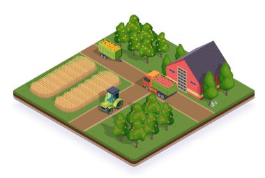 Kırsal çiftlik izometrik. Kırsal köy manzarası. Buğdaylı tarla, elmalı ağaçlar ve ahır. Çiftçilik ve tarım. Beyaz arkaplanda izole edilmiş Volumetrik vektör illüstrasyonu