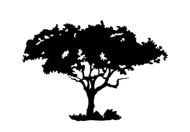 Siyah ağaç silueti. Yapraklı orman bitkisi. Doğa ve çevre, ekosistem. Güzel manzara. Logo ve amblem. Düz vektör çizimi beyaz arkaplanda izole edildi