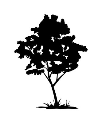 Siyah ağaç silueti. Ağaç dalları ve yaprakları olan orman bitkisi. Doğa ve çevre, ekosistem. Logo ve amblem. Marka ve sanat eserleri. Düz vektör çizimi beyaz arkaplanda izole edildi