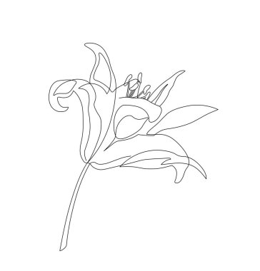 El çizimi çiçek. Çiçek açar ve çiçek açar. Minimalist yaratıcılık ve sanat. Güzellik ve zarafet. Yaz mevsiminin romantik hediyesi. Beyaz arkaplanda izole edilmiş doğrusal düz vektör çizimi