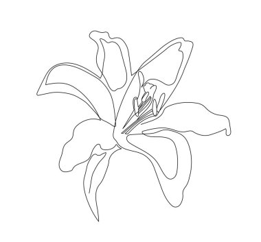 El çizimi çiçek. Çiçek açar ve çiçek açar. Minimalist yaratıcılık ve sanat. Bahar ve yaz mevsimi. Şablon ve düzen. Beyaz arkaplanda izole edilmiş doğrusal düz vektör çizimi