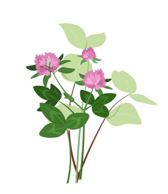 Çiçekler ve bitkiler. Mor çiçekler ve çimenler. Çiçek ve çiçek açan bitkiler. Romantik hediye ya da hediye. Güzel buket. Poster ya da afiş. Düz vektör çizimi beyaz arkaplanda izole edildi