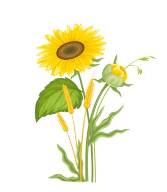 Çiçekler ve bitkiler. Ayçiçekleri ve çimenler. Çiçek ve çiçek açan bitkiler. Güzel buket. Çiçekçilik ve botanik. Sosyal medya etiketi. Düz vektör çizimi beyaz arkaplanda izole edildi