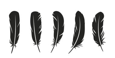 Kuş tüyü simgeleri ayarlandı. Koyu ya da siyah tüyler tüylü melek, kaz ya da kuğu kanatlarının siluetleri. Dövme ya da logo için tasarım elemanları. Düz vektör illüstrasyon koleksiyonu beyaz arkaplanda izole edildi