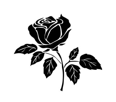 Dekoratif gülün siyah siluetleri. Yaprakları ve sapı olan güzel bir bahçe gülünün tek renkli simgesi. Elle çizilmiş çiçek bitkisi. Baskı için tasarım. Düz vektör çizimi arkaplanda izole edildi