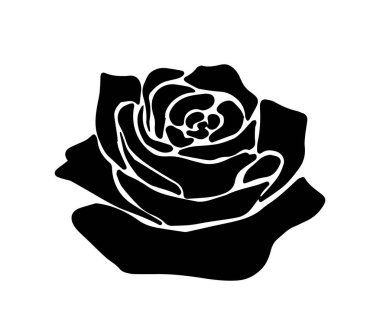 Dekoratif gülün siyah siluetleri. Çiçek açan tek renkli çiçek yapraklı gül tomurcuğu. El çizimi yabani çiçek. Düğün davetiyesi için tasarım elemanı. Düz vektör çizimi arkaplanda izole edildi