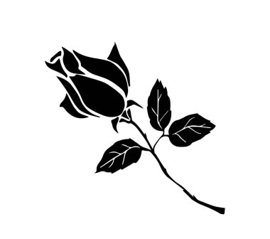 Dekoratif gülün siyah siluetleri. Çiçek açan bitki ya da yaprak ve gövdeli bahçe gülünün tek renkli el resmi. Dövme için tasarım elemanı. Düz vektör çizimi arkaplanda izole edildi