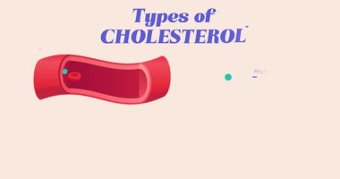 Kolesterol karşılaştırması. Kan damarının enine kesitinde HDL ve LDL lipoprotein içeren tıbbi bilgi içeren pankart. Eğitici diyagram. Çizgi film düz animasyon grafikleri