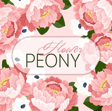 Dekoratif pembe ve beyaz şakayık çiçekleri ve yumuşak pembe arka planda düz grafik şeklinde yeşil yapraklar. Çiçekli güzellik ve zarafet kavramı. Vektör illüstrasyonu