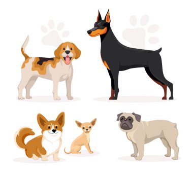 Beyaz arka planda Doberman, Beagle, Corgi, Chihuahua ve Pug gibi beş farklı köpek türü vardır. Vektör illüstrasyonu