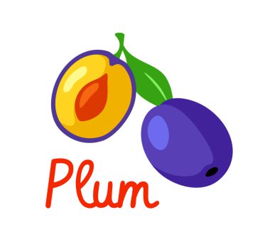 Tam ve yarım erik, yeşil bir yaprak ve görünür bir tohum, renkli çizgi film tarzı, beyaz arka planda izole edilmiş. Meyve eğitimi kavramı. Vektör illüstrasyonu