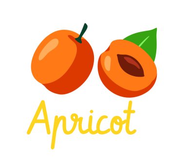 İki kayısı, bir bütün ve bir yarısı görünen çukur ve yaprakla kaplı, beyaz arka planda düz çizgi film tarzında. Sağlıklı meyve kavramı. Vektör illüstrasyonu