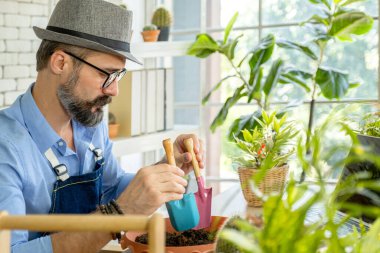 Hipster yaşlılar bitkilerle online olarak ilgilenmeyi öğreniyorlar, sürdürülebilir emeklilikten sonra bir şehir bahçesi hobisi..
