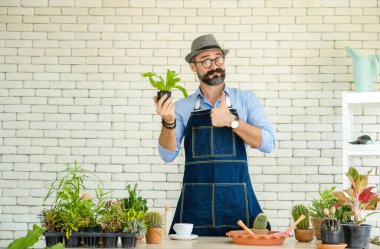 Hipster yaşlılar, sürdürülebilir emeklilikten sonra kentsel bahçe işleri hobisi olan ağaçlarla ilgileniyorlar..