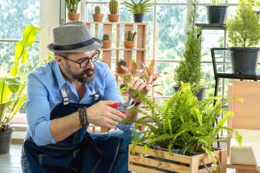 Hipster yaşlılar ağaçlarla ilgileniyor, sürdürülebilir emeklilikten sonra bahçe işleri hobisi olarak makaslarla ağaçları buduyorlar..