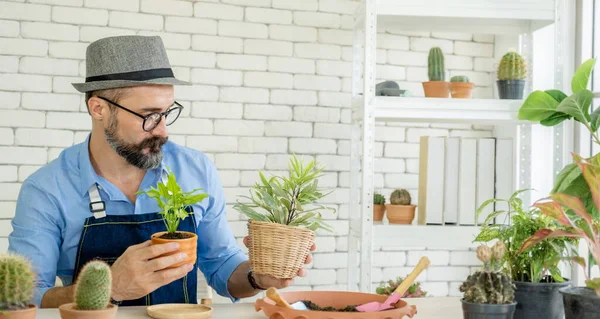 stock image A senior man or grandfather with a mustache enjoys gardening for the tree at home after retirement.