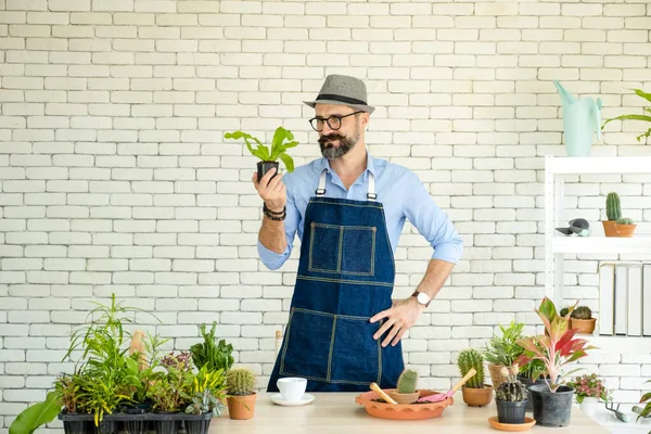 Stock image Hipster elderly men take care of the trees, a hobby of urban home gardening after sustainable retirement.