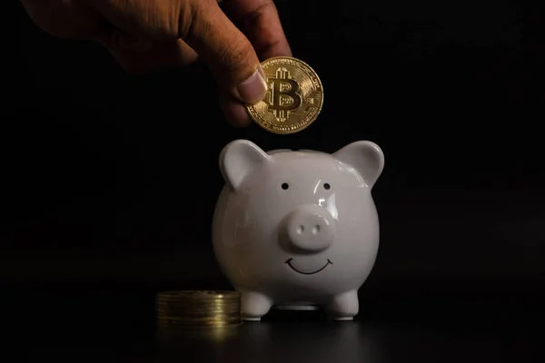 Tangan Menempatkan Bitcoin Dalam Piggybank Putih Risiko Dan Kekayaan Dapat Stok Foto Bebas Royalti