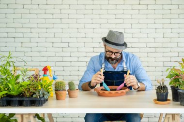 Hipster yaşlılar, sürdürülebilir emeklilikten sonra kentsel bahçe işleri hobisi olan ağaçlarla ilgileniyorlar..
