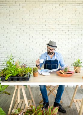Hipster yaşlılar kahve içer, gazete okur, dinlenir, bitkilerle ilgilenir, sürdürülebilir emeklilikten sonra kentsel ev işleri hobisi haline gelir..